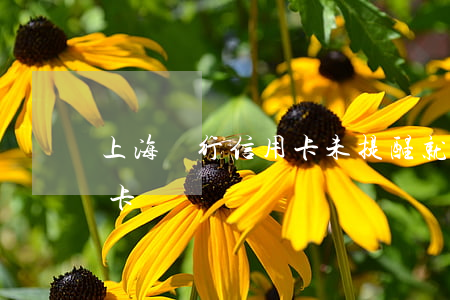 上海銀行信用卡未提醒就逾期(逾期未還信用卡)