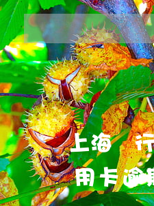 上海銀行信用卡逾期3000-上海銀行信用卡逾期半年會上門起訴我嗎