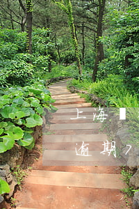 上海銀行信用卡逾期3千多(信用卡2000逾期7年了)
