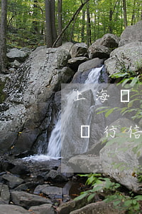 上海銀行信用卡逾期4萬(wàn)-上海銀行信用卡逾期4萬(wàn)五