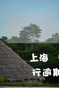 上海銀行信用卡逾期一天兩個電話-上海銀行逾期三個月打電話說調(diào)我的資料