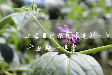 上海銀行信用卡逾期一年了-上海銀行信用卡逾期一年了