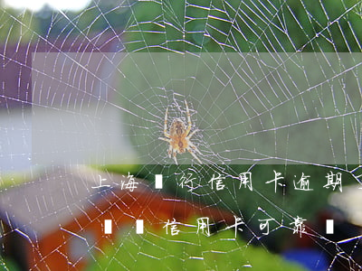 上海銀行信用卡逾期了會上門嗎(上海銀行上門辦信用卡可靠嗎?)