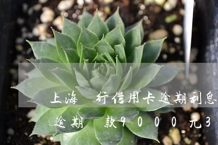 上海銀行信用卡逾期利息怎么算-上海銀行逾期還款9000元3個(gè)月會(huì)怎樣