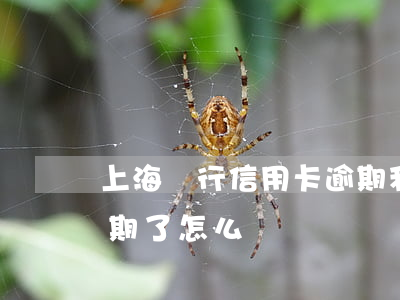 上海銀行信用卡逾期利率(上海銀行信用卡逾期了怎么辦)