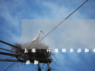 上海銀行信用卡逾期十幾天(信用卡10幾天逾期)