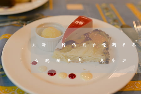 上海銀行信用卡逾期半年罰息(上海銀行信用卡逾期半年罰息多少錢)