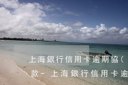 上海銀行信用卡逾期協(xié)商分期還款-上海銀行信用卡逾期協(xié)商分期還款流程