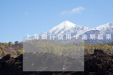 上海銀行信用卡逾期后果
