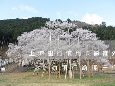 上海銀行信用卡逾期外訪流程興業(yè)-上海銀行逾期三個(gè)月打電話說(shuō)調(diào)我的資料