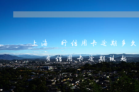 上海銀行信用卡逾期多久會(huì)被起訴(有信用卡逾期被起訴的嗎)
