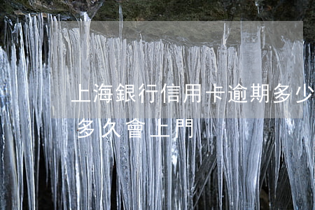 上海銀行信用卡逾期多少會上門(銀行卡逾期多久會上門)