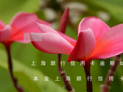 上海銀行信用卡逾期如何協(xié)商還本金（上海銀行信用卡逾期如何協(xié)商）