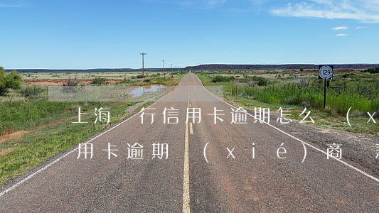 上海銀行信用卡逾期怎么協(xié)商(信用卡逾期協(xié)商還款)