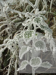 上海銀行信用卡逾期怎么查金額-上海銀行信用卡逾期怎么查金額多少