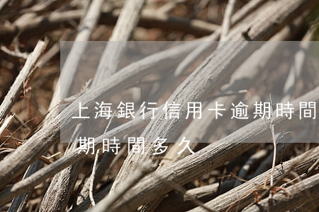 上海銀行信用卡逾期時間(上海銀行信用卡逾期時間多久)