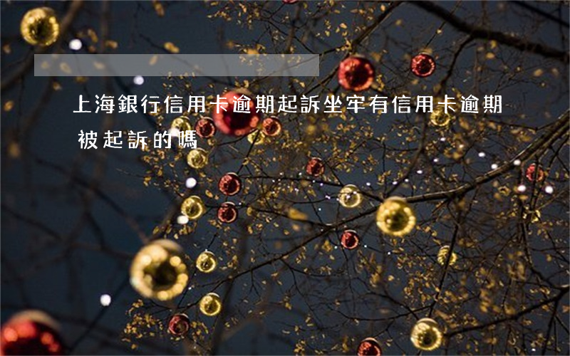 上海銀行信用卡逾期起訴坐牢(有信用卡逾期被起訴的嗎)