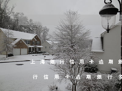 上海銀行信用卡逾期銀行多久起訴-上海銀行信用卡逾期銀行多久起訴有效
