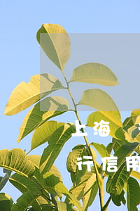 上海銀行信用購逾期2個月會怎么樣（上海銀行信用購逾期）