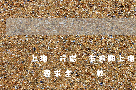 上海銀行借記卡逾期(上海銀行貸款逾期多久會要求全額還款)