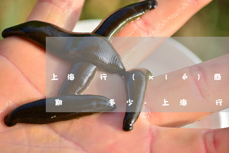 上海銀行協(xié)商個(gè)性化分期電話多少-上海銀行協(xié)商個(gè)性化分期電話多少啊