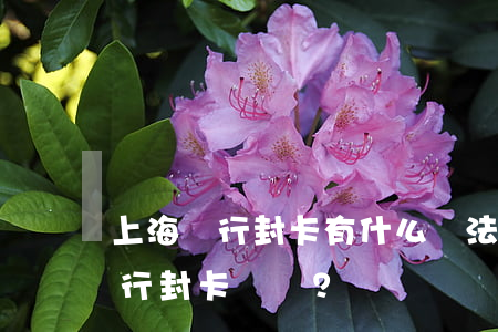 上海銀行封卡有什么辦法嗎，如何解決上海銀行封卡問題？