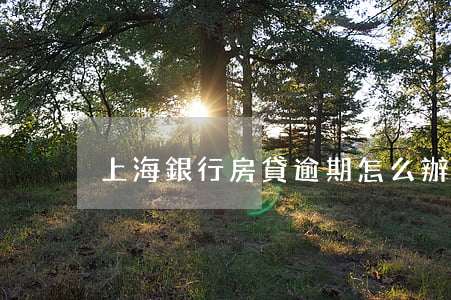 上海銀行房貸逾期怎么辦(房貸逾期咋辦)