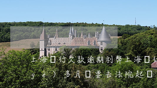 上海銀行欠款逾期利弊(上海銀行逾期一個(gè)多月說要去法院起訴)