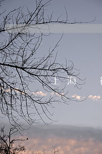 上海銀行貸款逾期1天(銀行貸款逾期十幾天)