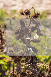 上海銀行逾期 上海銀行逾期4個月要求一次性結(jié)清沒錢還怎么辦