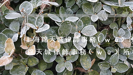 上海錦天城律師事務(wù)所徐靈菱(上海錦天城律師事務(wù)所徐靈菱律師)