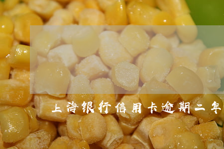 上海银行信用卡逾期二年