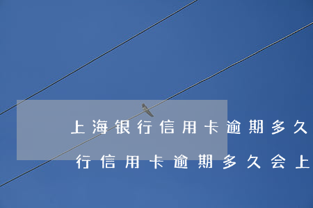 上海银行信用卡逾期多久会上征信-上海银行信用卡逾期多久会上征信多久可以消除