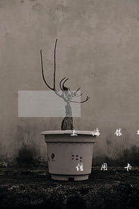 上海银行信用卡逾期批量起诉邮政(上海银行信用卡逾期批量起诉邮政)