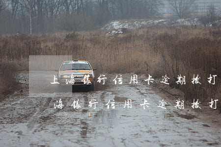 上海银行信用卡逾期拨打什么电话沟通-上海银行信用卡逾期拨打什么电话沟通客服