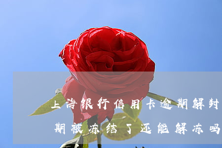 上海银行信用卡逾期解封(上海银行信用卡逾期被冻结了还能解冻吗)