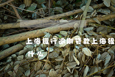 上海银行逾期贷款（上海银行逾期告知函函是什么）