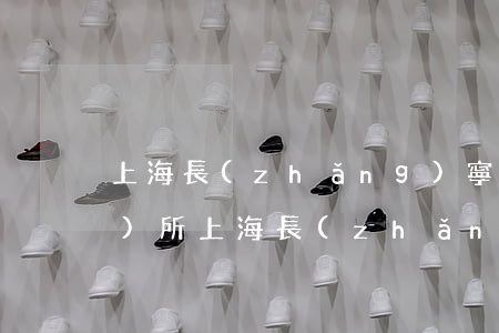 上海長(zhǎng)寧的律師事務(wù)所（上海長(zhǎng)寧債務(wù)律師服務(wù)）
