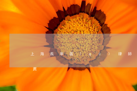 上海長寧區(qū)律師事務(wù)所推薦