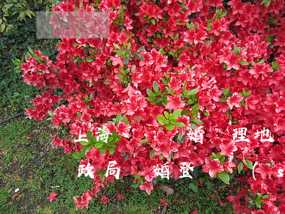 上海長寧離婚辦理地點(diǎn)(長寧民政局離婚登記時(shí)間)