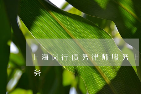 上海闵行债务律师服务(上海闵行债务律师服务)