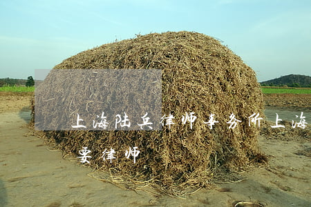 上海陆兵律师事务所(上海陆兵律师事务所主要律师) 上海陆兵律师事务所(上海陆兵律师事务所主要律师)