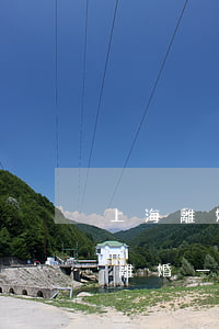 上海離婚不預(yù)約直接去可以嗎(上海離婚一定要預(yù)約才可以嗎)