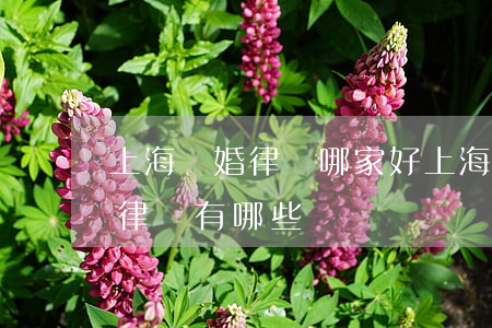 上海離婚律師哪家好(上海專業(yè)離婚律師有哪些)