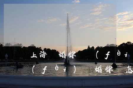 上海離婚律師費(fèi)用一般怎么收費(fèi)(離婚律師 怎么收費(fèi))