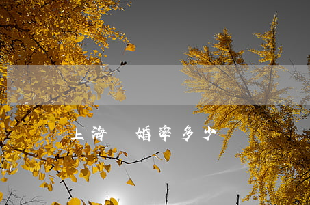 上海離婚率多少 上海離婚率多少