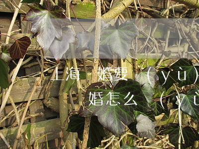 上海離婚要預(yù)約嗎(上海預(yù)約離婚怎么預(yù)約)