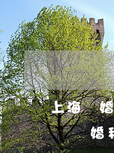 上海離婚起訴流程和費(fèi)用(上海訴訟離婚程序)