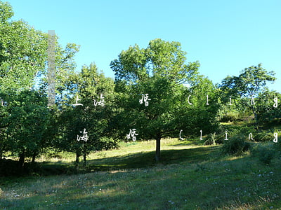 上海離婚領(lǐng)證多久算逾期-上海離婚領(lǐng)證多久算逾期
