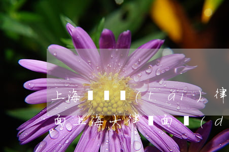 上海電視臺(tái)律師面對(duì)面(上海大律師面對(duì)面律師介紹)